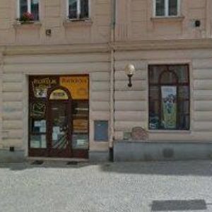 obrazek: avatar NOVOTNÁ ALENA