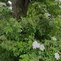 GAZKOMPLET spol. s r.o.