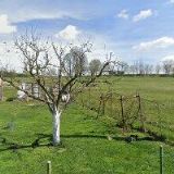 KUČERA CARGO s.r.o.