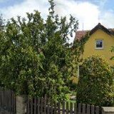 PIRÁT-PŮJČOVNA RAFTŮ A KANOÍ