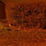 SÝBEK AUTODOPRAVA , s.r.o.