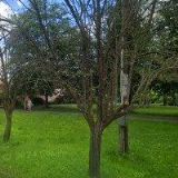 SHUTTLE JIFI-OSOBNÍ PŘEPRAVA OSOB