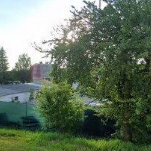 obrazek: avatar AUTODOPRAVA-SKYPALA MARTIN