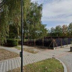 obrazek: avatar SPEED TAXI