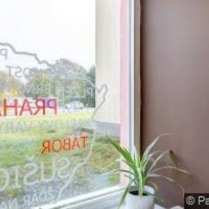 obrazek: avatar KOČÍ OLDŘICH
