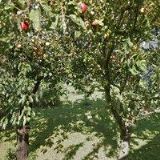 HV AUTODOPRAVA s.r.o.