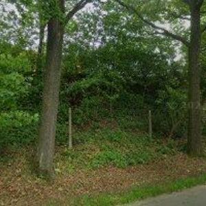 obrazek: avatar MARYŠKA KAREL