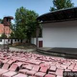 DOPRAVNÍ PSYCHOLOG DOLEŽALOVÁ ADÉLA PhDr.