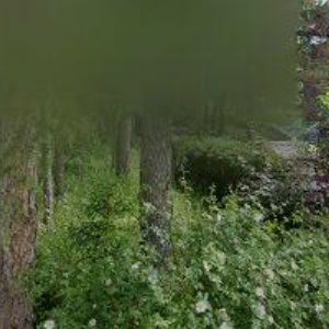 obrazek: avatar MERTLÍK JOSEF-TRUHLÁŘ