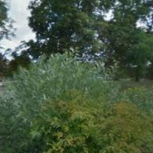 obrazek: avatar DOMOV SV.ANEŽKY-MERINO