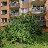 KAMENICTVÍ-RENOVASERVIS