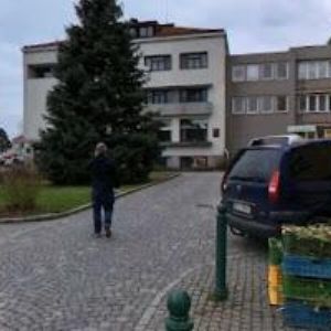 obrazek: avatar KVĚTINY ŠOUREK