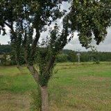 M.T. BLATNÁ spol. s r.o.