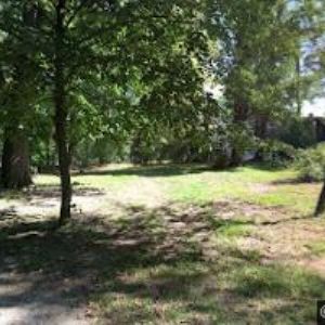 obrazek: avatar DIVADELNÍ SPOLEČNOST VLTAVAN