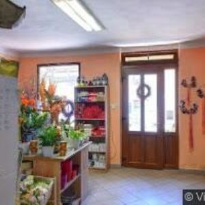 obrazek: avatar MYRTA VELEŠÍN s.r.o.