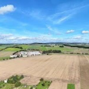 obrazek: avatar MĚSTYS Katovice