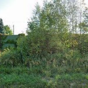 obrazek: avatar LEMA CLEAR s.r.o.