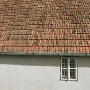 obrazek: avatar BELŠAN-ZAHRADNÍ DOMKY