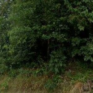 obrazek: avatar EYWA STUDIO-ČESKÝ KRUMLOV