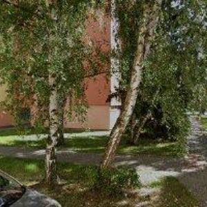 obrazek: avatar GROSSFISCH s.r.o.