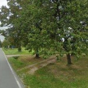 obrazek: avatar OBEC Hrachoviště