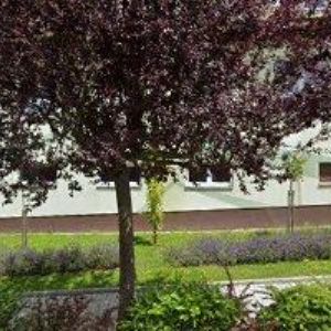 obrazek: avatar OBEC Staré Hobzí