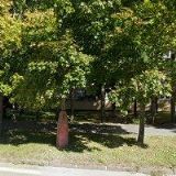 SŠ RYBÁŘSKÁ A VODOHOSPODÁŘSKÁ JAKUBA KRČÍNA