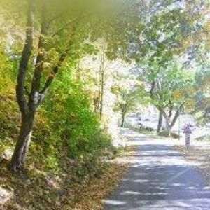 obrazek: avatar ZŠ A MŠ Bavorov