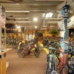 obrazek: avatar DAJ SPORT