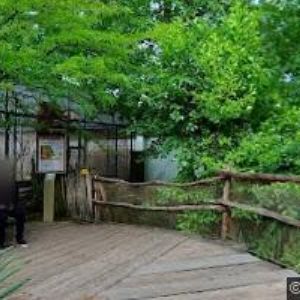 obrazek: avatar JIHOČESKÁ ZOOLOGICKÁ ZAHRADA HLUBOKÁ NAD VLTAVOU