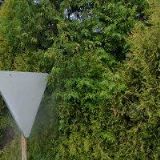 MLČKOVSKÝ MIROSLAV