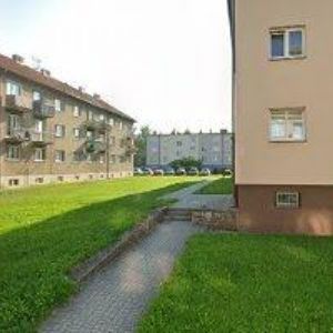 obrazek: avatar STUDÍK PETR