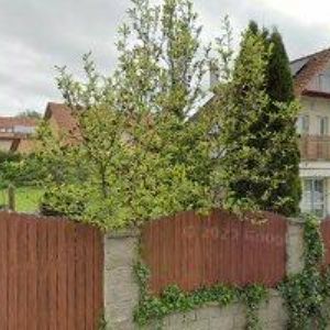 obrazek: avatar BOHEMIA BRETHERN , s.r.o.