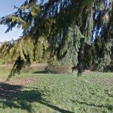 AAA HOLANDSKÝ NÁBYTEK