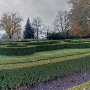 obrazek: avatar ALŠOVA JIHOČESKÁ GALERIE