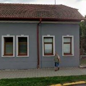 obrazek: avatar DVOŘÁKOVÁ JANA