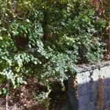 PRÁDELNA A ČISTÍRNA KATEV