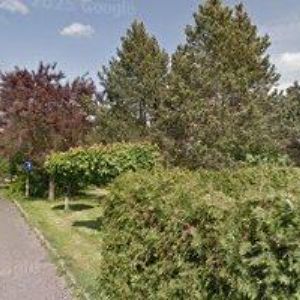 obrazek: avatar BRODSKÝ JAN