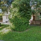 B.M.S.-BIOMASSE-SYSTEME s.r.o.