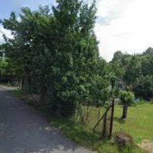 obrazek: avatar KRÁL LUKÁŠ DiS.