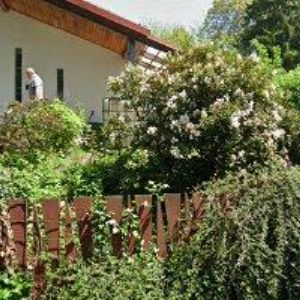 obrazek: avatar SLUNEČNICE ČESKÉ BUDĚJOVICE