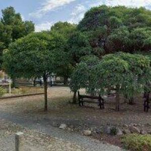 obrazek: avatar TUREK MIROSLAV