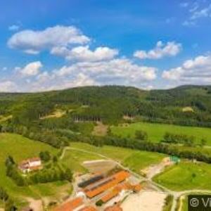 obrazek: avatar DOUŠEK PAVEL