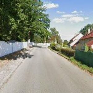 obrazek: avatar FILIP JAN