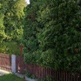 ŠONKA JAROSLAV MVDr.