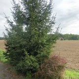 ALZHEIMERCENTRUM LOUCKÝ MLÝN