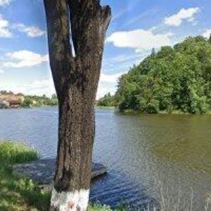 obrazek: avatar LIHOVAR BUDEČ spol. s r.o.