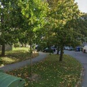 obrazek: avatar CHUM PETR