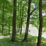 JÁRA VÁCLAV-VÝŠKOVÉ PRÁCE