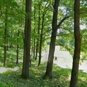 obrazek: avatar JÁRA VÁCLAV-VÝŠKOVÉ PRÁCE